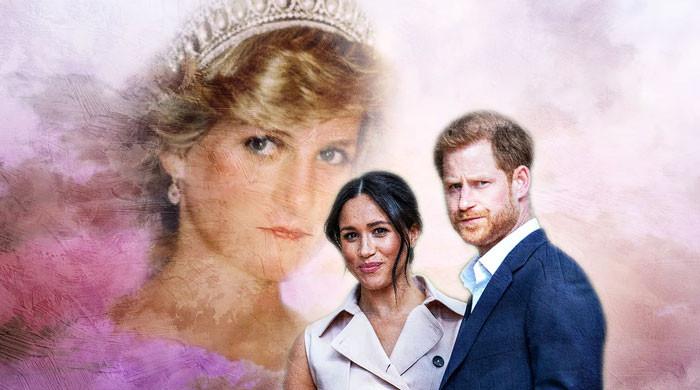Harry 'expected' to school Meghan on 'Diana practices' as Britons slam UK return