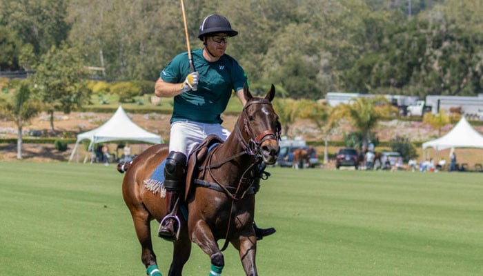 Prince Harry 'trying to resurrect' happiness with polo in US, will