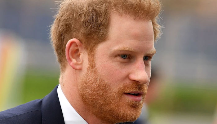Prince Harry has no place at royal table anymore, branded lost doul by Diana ex-employee