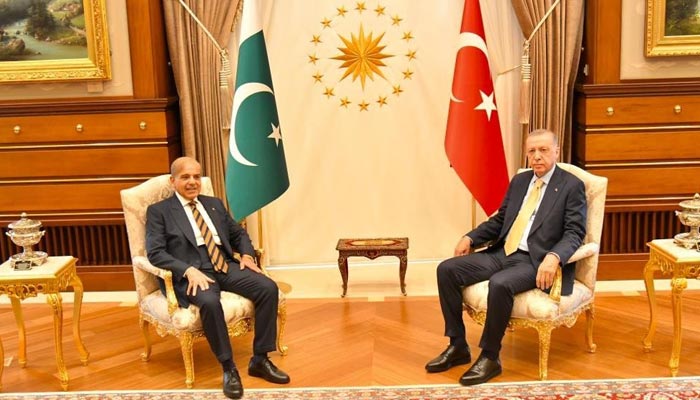 Prime Minister Shehbaz Sharif (L) meets Turkish President Recep Tayyip Erdoğan in Ankara, Turkey on June 1, 2022. — Facebook/Mian Shehbaz Sharif