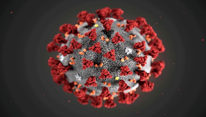 The ultrastructural morphology exhibited by the 2019 Novel Coronavirus (2019-nCoV), which was identified as the cause of an outbreak of respiratory illness first detected in Wuhan, China, is seen in an illustration released by the Centers for Disease Control and Prevention (CDC) in Atlanta, Georgia, U.S. January 29, 2020. — Reuters