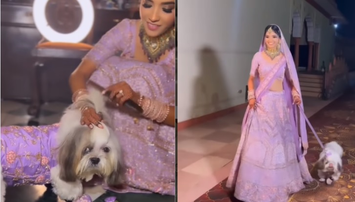 Bride readies her pet dog. — Instagram/The Wedding Brigade
