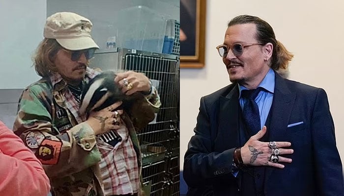 Johnny Depps bizarre pic of cradling badger goes viral shortly after trial verdict