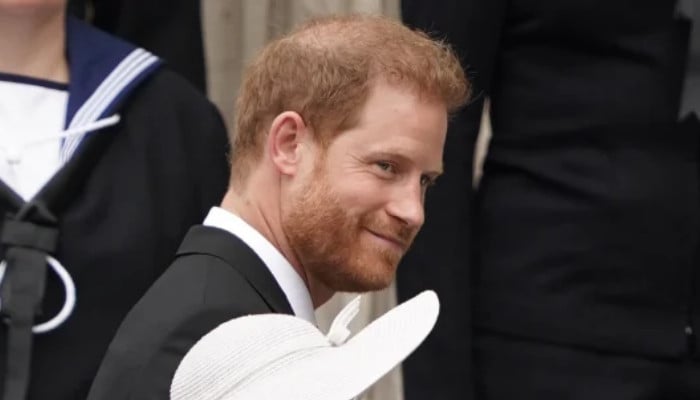 La ‘ansiedad’ del príncipe Harry por un estatus real más bajo es revelada por un experto