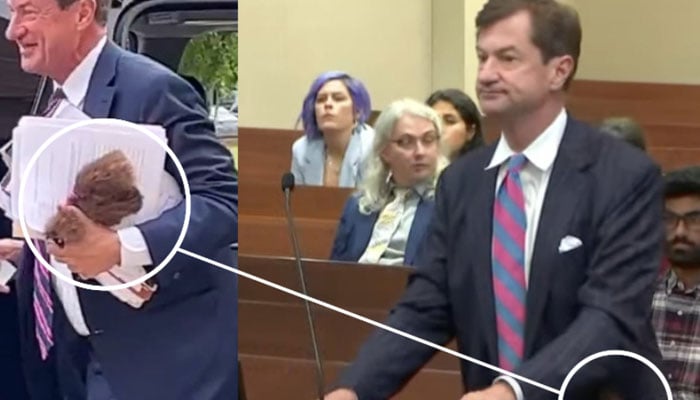 Depp lawyer Benjamin Chew stuffed baby alpaca in court dubbed wholesome
