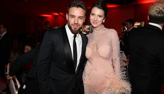 Liam Paynes ex-fiancée Maya Henry takes a swipe at singer after breakup