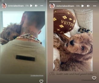 Beckhams give heartfelt welcome to Romeo’s adorable new pup Simba, see pics