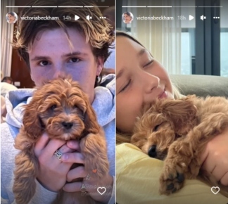 Beckhams give heartfelt welcome to Romeo’s adorable new pup Simba, see pics