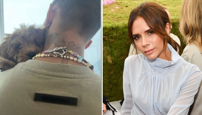 Beckhams give heartfelt welcome to Romeo’s adorable new pup Simba, see pics