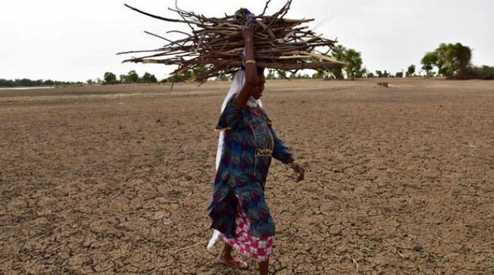 Understanding connection between women's health and climate change 