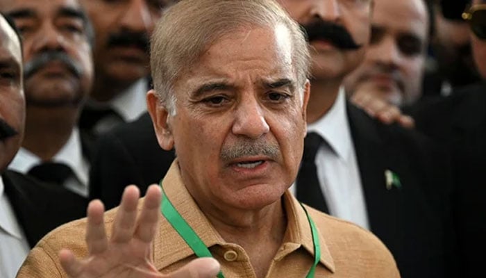 PM Shehbaz Sharif extends condolences over loss of lives in Bangladesh fire