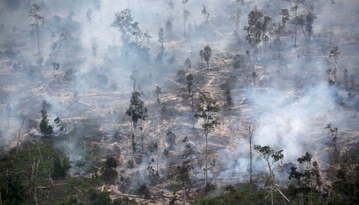 Smoke covers forest during fires in Kapuas regency near Palangka Raya in Central Kalimantan province, Indonesia, September 30, 2019. — Reuters