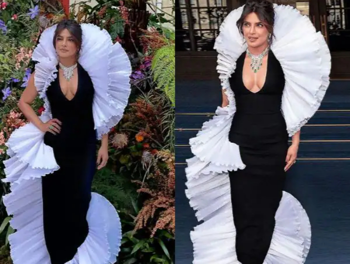 Priyanka Chopra stuns in figure-hugging gown in Paris: See