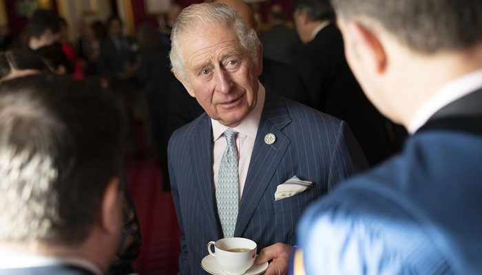 Prince Charles, France's Macron discuss war in Ukraine - Vimarsana News
