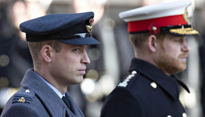 Prince William ‘lacking’ trust on Harry while fearing possible leaks to Netflix