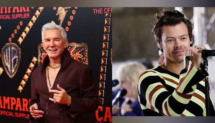 Elvis director Baz Luhrmann said that Harry Styles is already a musical icon, and so, was denied the role