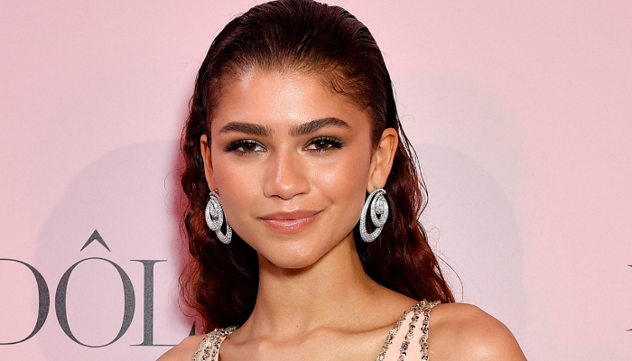 Zendaya thinks the idea of being a pop star is on pause for her