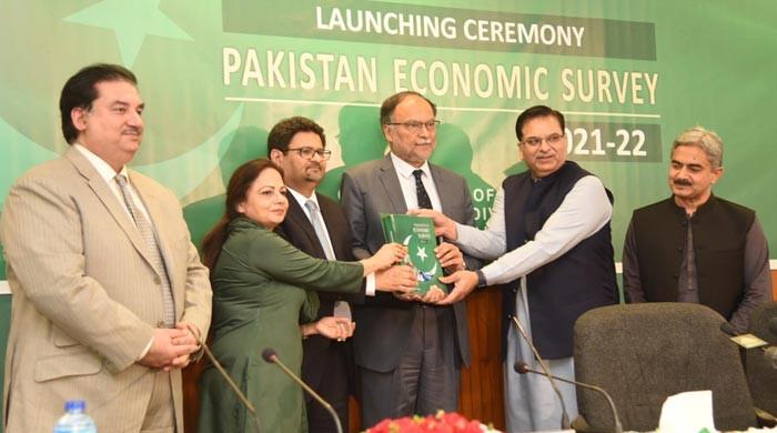 'Economic growth still fragile': Experts weigh in on Economic Survey 2021-22