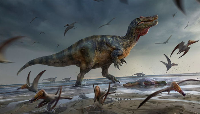 Artists illustration shows a large meat-eating dinosaur dubbed the White Rock spinosaurid, whose remains dating from about 125 million years ago during the Cretaceous Period were unearthed on Englands Isle of Wight, standing on a beach, surrounded by flying reptiles called pterosaurs. ​​Anthony Hutchings/Handout via REUTERS.