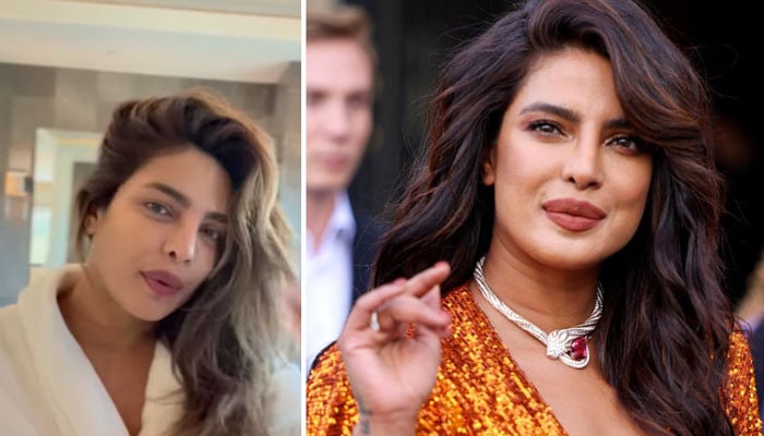 Priyanka Chopra walks through her evening haircare ritual: Video