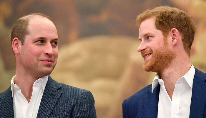 Prince Harry, William meeting expected in August for THIS reason