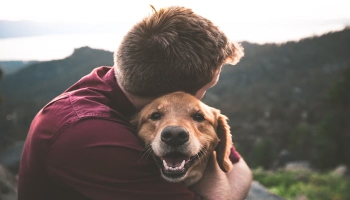 The Happy Doggo.—Unsplash/ericjamesward