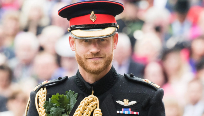 Prince Harry 'demoralised' after Megxit left him with no royal titles - Vimarsana News