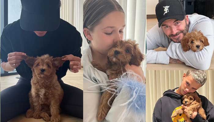 Victoria Beckham shares slew of snaps of new family member Simba Beckham