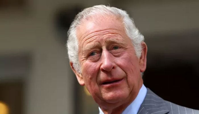 Prince Charles destroying monarchy to extinction over Rwanda policy comment
