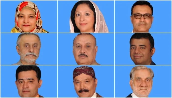 (L-R) PTI MNAs Nuzhat Pathan, Wajiha Qamar, Noor Alam Khan, Sardar Riaz Mehmood Khan Mazari, Raja Riaz Ahmad, Makhdom Zada Sayed Basit Ahmad Sultan, Muhammad Abdul Ghafar Wattoo, Rana Muhammad Qasim Noon, Malik Nawab Sher Waseer. — NA of Pakistan/File