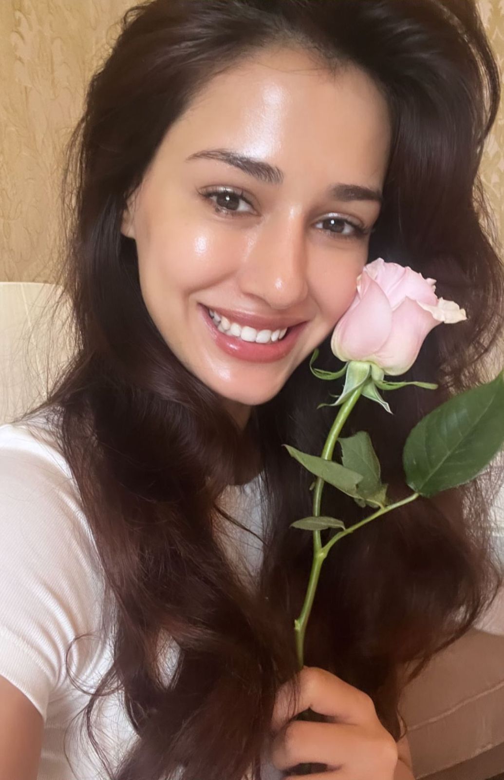 Disha Patani gives sneak peek into her birthday celebrations: pictures inside