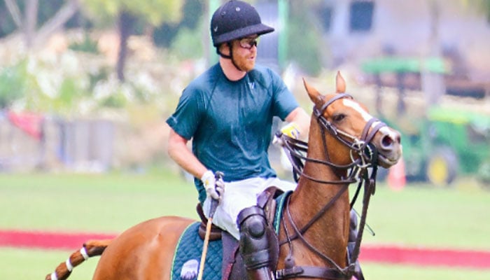 Prince Harry seen genuinely happy at Cali polo match without Meghan: Expert
