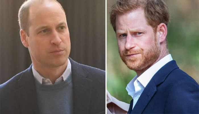Prince William, Prince Harry ‘done lots of damage’ amid warning echoes
