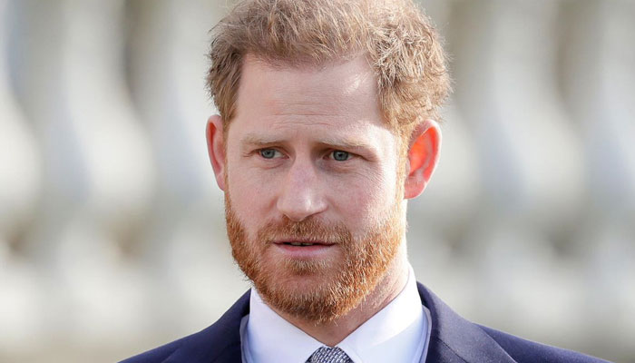 Prince Harry could mend fences only after apology for trashing royals