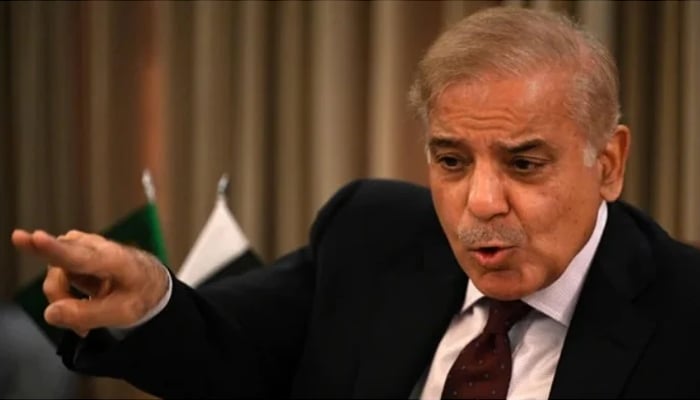 Prime Minister Shehbaz Sharif motions during an interview in this undated AFP photo.
