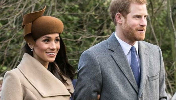 Prince Harry, Meghan Markle to lose stupid titles: Senior members are talking