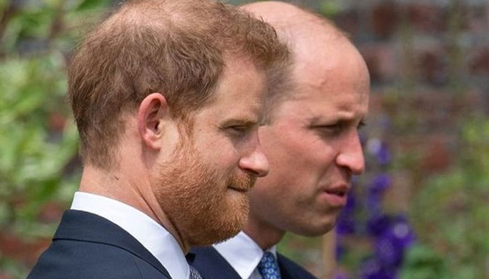 Prince Harry, William’s relationship ‘still very raw’: ‘Icy duo!’