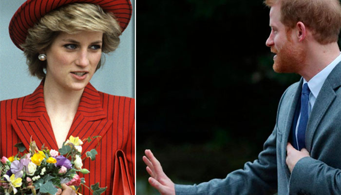 Prince Harry ‘continuing’ Diana’s work with ‘hand grenades’?