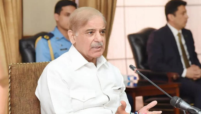 Prime Minister of Pakistan Shehbaz Sharif during cabinet session. Photo—PML-N Facebook