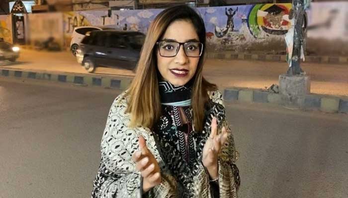 Hina Daniyal Maliks tragic death: Her sister shares shocking details in video message
