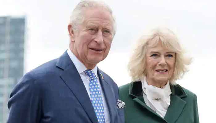 Duchess Camilla tries not to offend Harry and William in rare remarks about her past