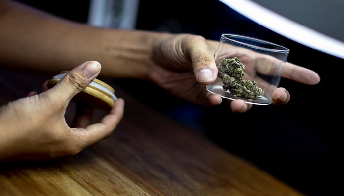 A customer holds up a piece of cannabis at the Highland Cafe, after it was removed from the narcotics list under Thai law, in Bangkok, Thailand, June 9, 2022. — Reuters