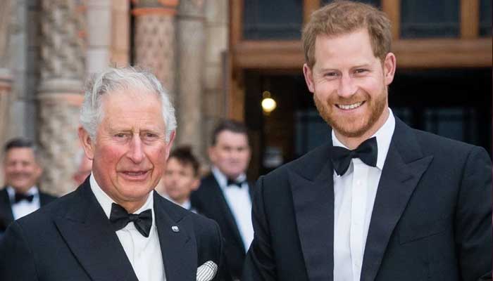 Prince Harry sets tongues wagging as he shuns his dad Charles on Fathers Day