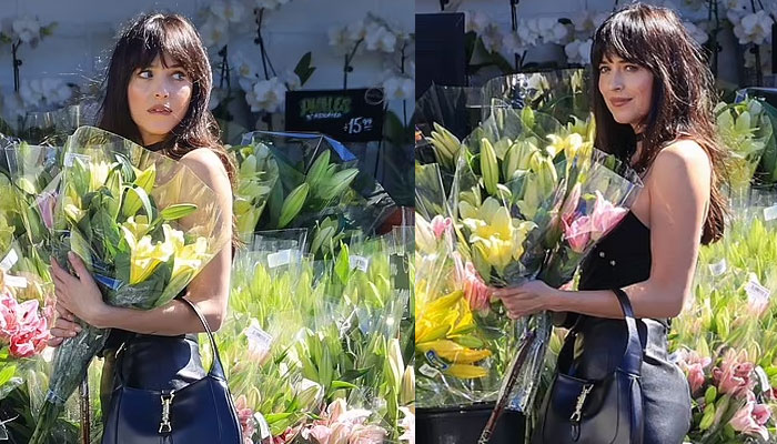 Dakota Johnson turns heads with her stylish appearance amid new gig in LA