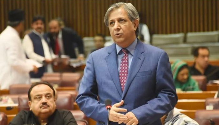 Law Minister Azam Nazeer Tarar speaks during a National Assembly session in this undated photo. — Twitter/File