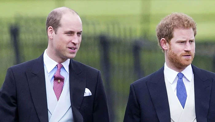 Prince William hits sad reality at 40 as wingman resides across the pond