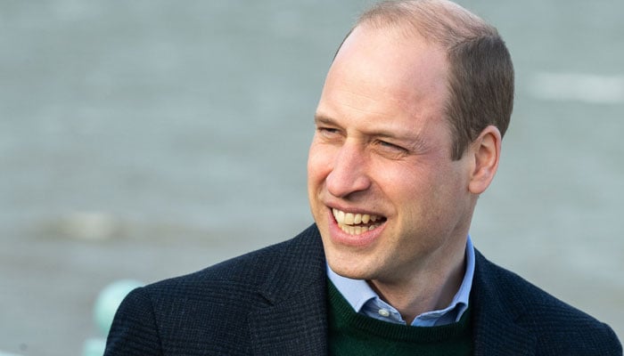Prince William unusually patient undercover phone call laid bare