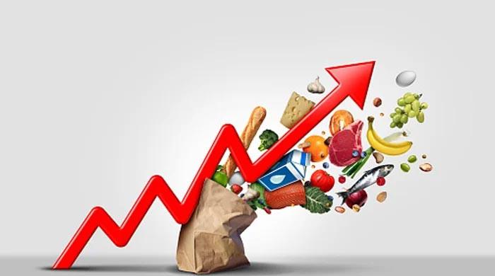 A blueprint for Pakistan's growth strategy — Part 2