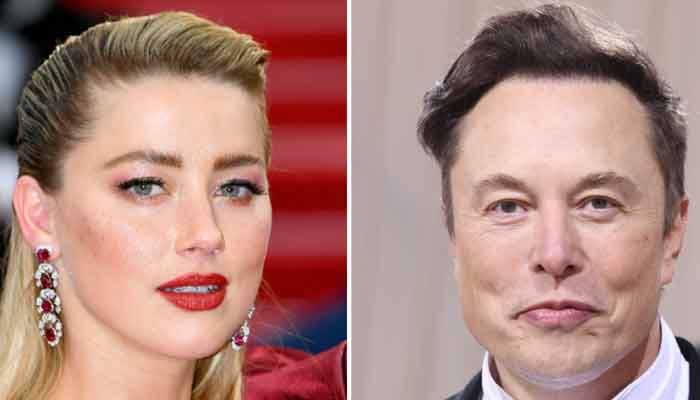 Elon Musk has feelings for Amber Heard?