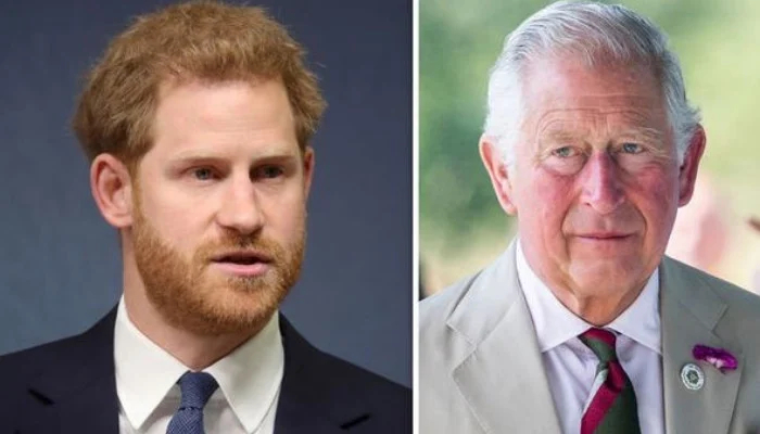 Prince Charles asked to take back Prince Harry's titles over 'appalling' behavior